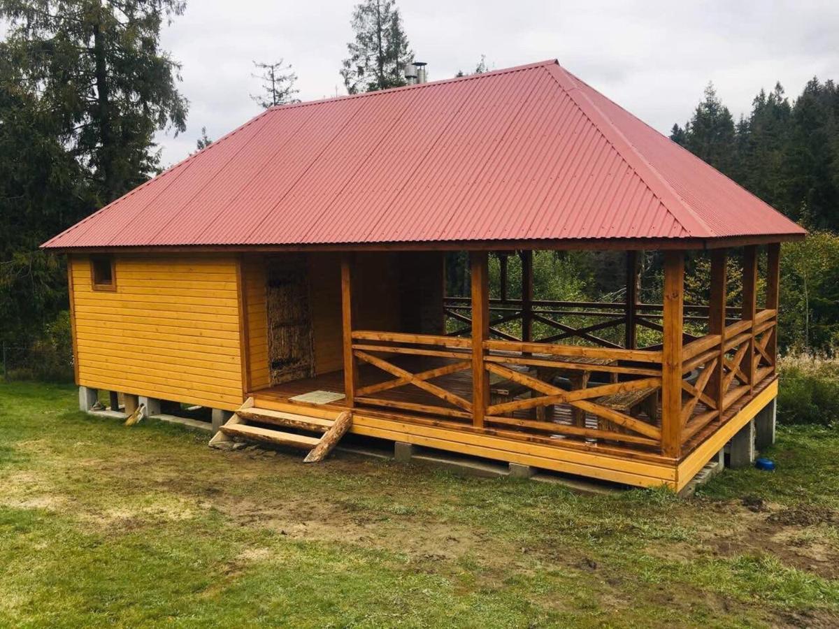 Baza Vidpochynku Ilz Villa Slavske Luaran gambar