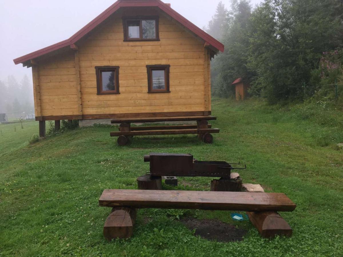 Baza Vidpochynku Ilz Villa Slavske Luaran gambar