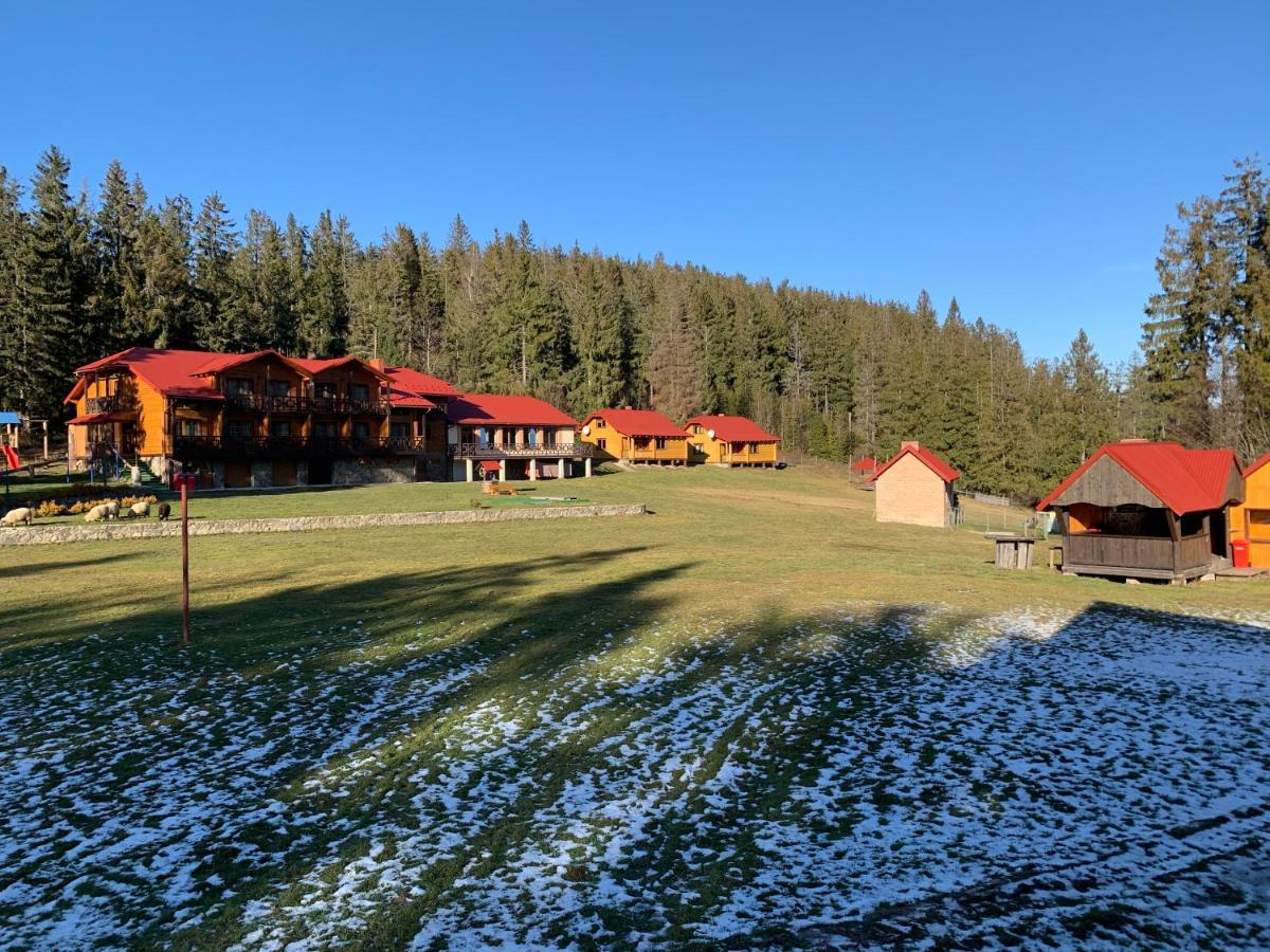 Baza Vidpochynku Ilz Villa Slavske Luaran gambar