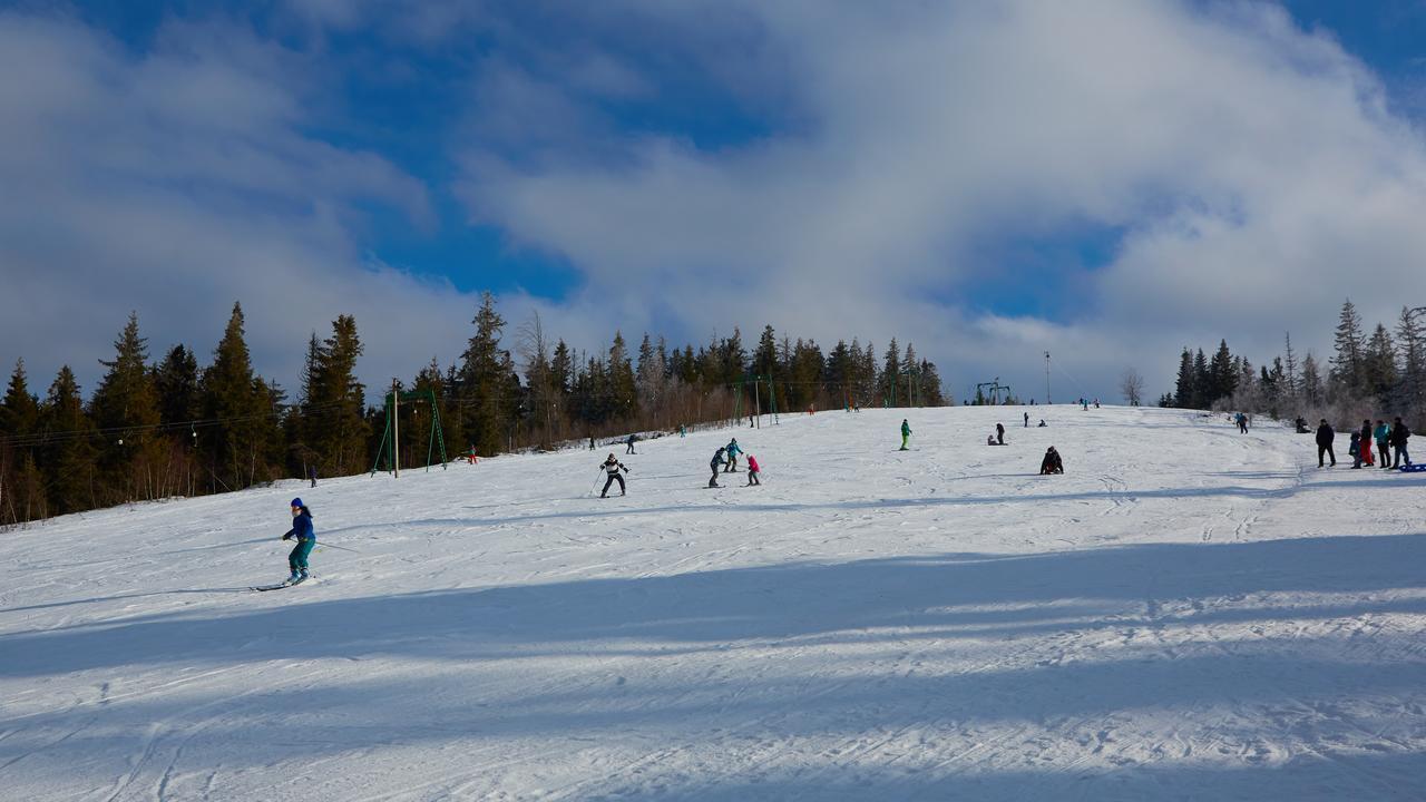 Baza Vidpochynku Ilz Villa Slavske Luaran gambar