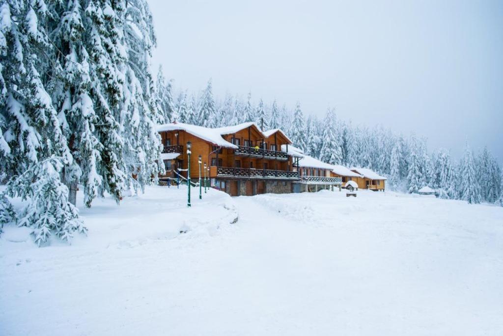 Baza Vidpochynku Ilz Villa Slavske Luaran gambar