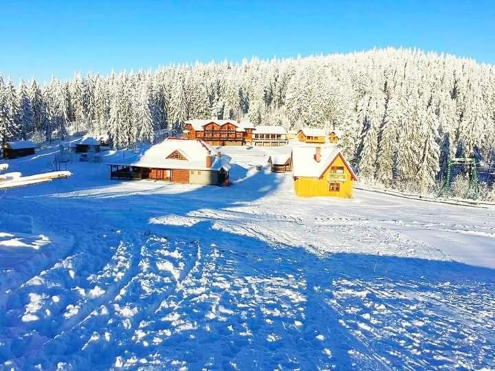 Baza Vidpochynku Ilz Villa Slavske Luaran gambar
